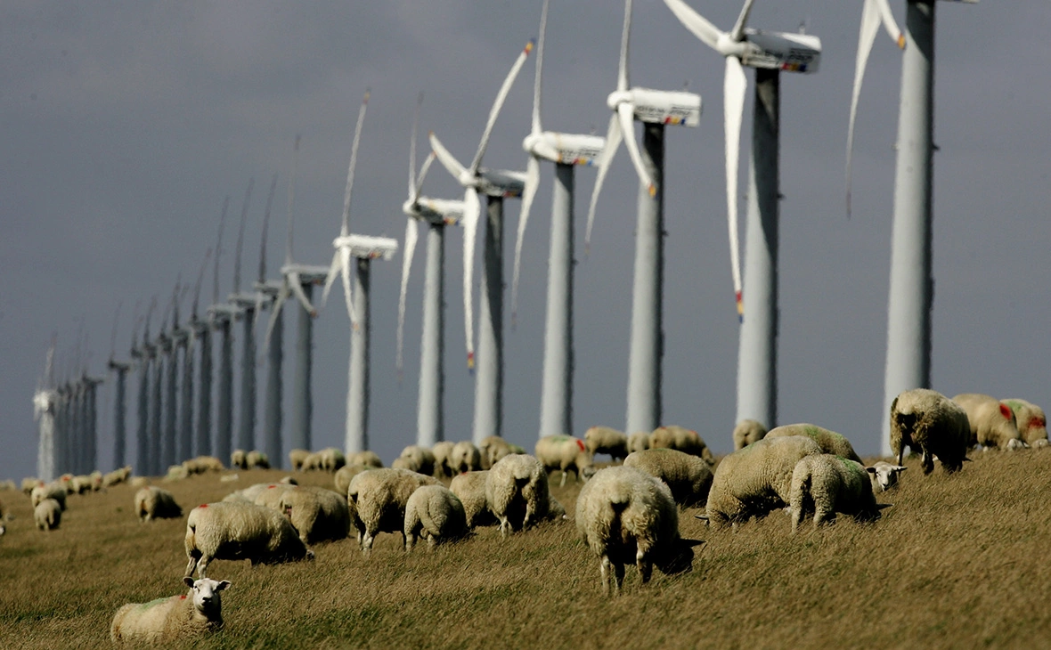 Alexander Hassenstein / Getty Images