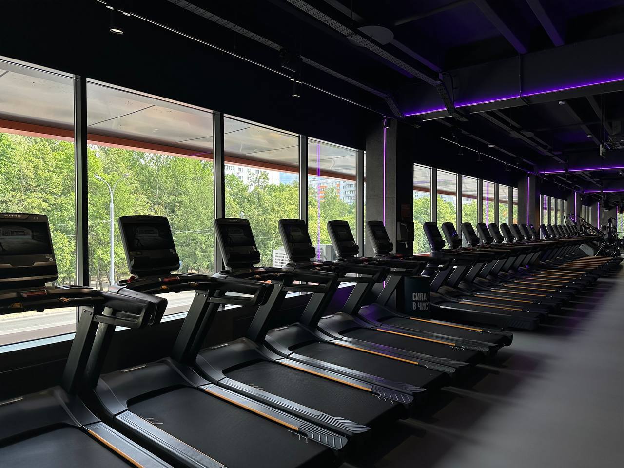 Фото: DDX Fitness