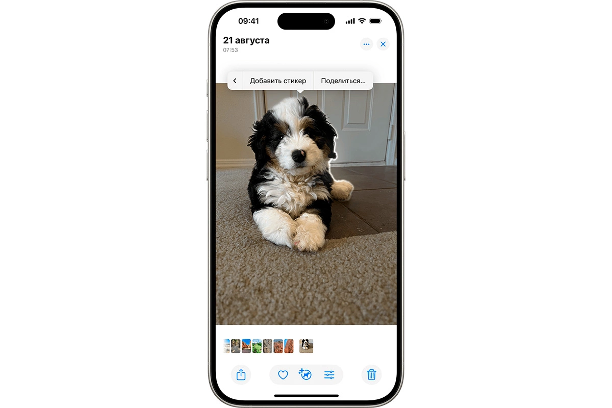 На iPhone можно сделать стикеры с помощью функции быстрого отделения объектов от фото