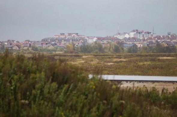 Александр Подгорчук
