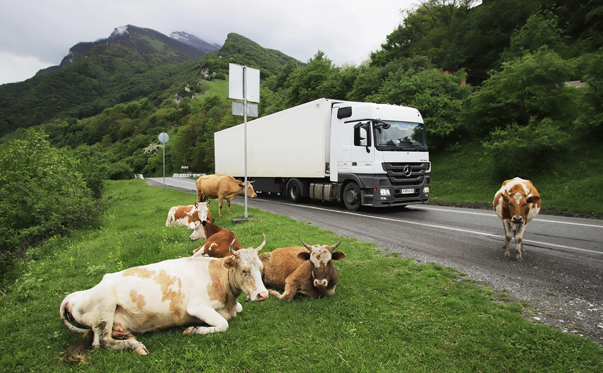 Денис Абрамов / РИА Новости