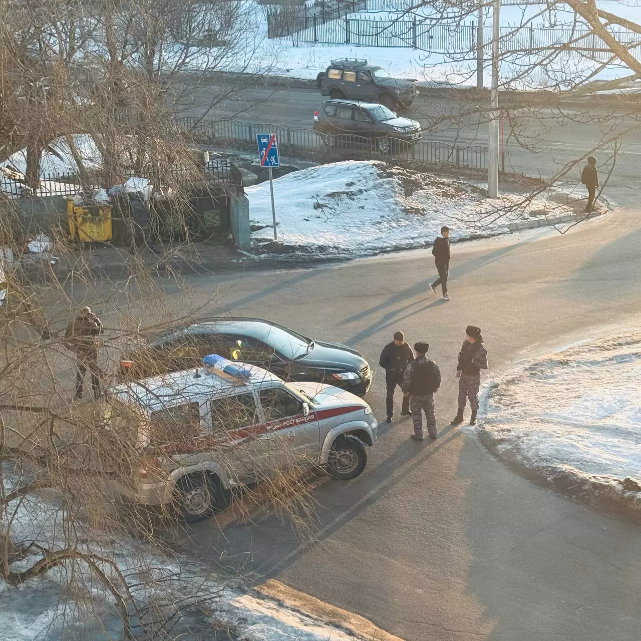 ЕСМЦ Камчатского края