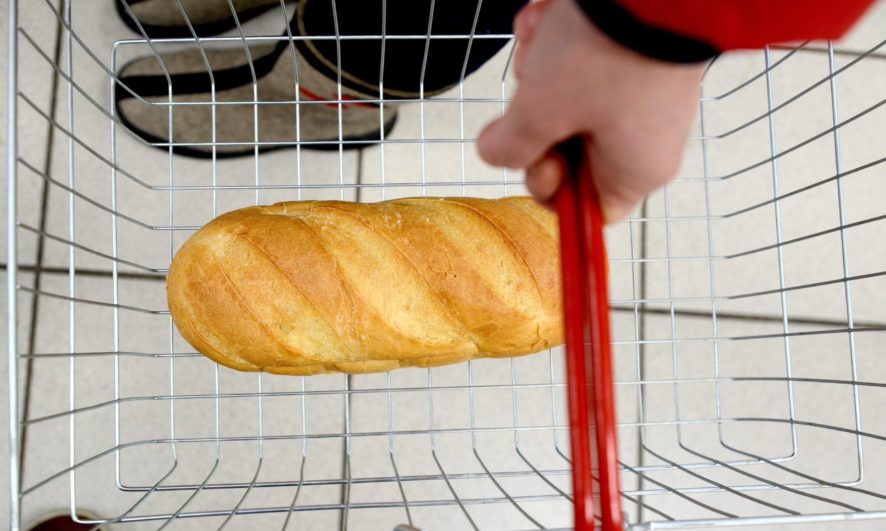 Фото: PhotoXPress.ru