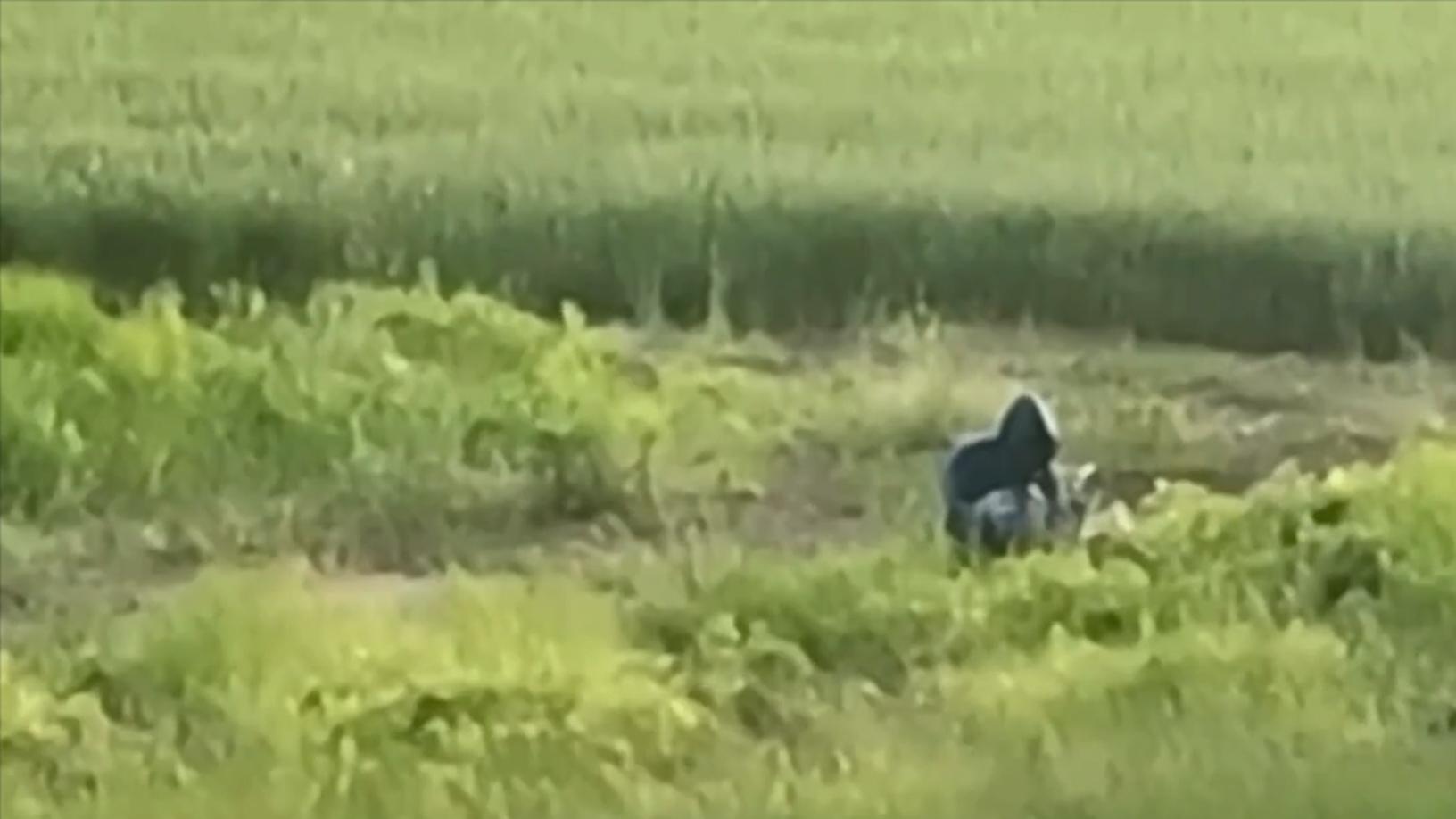 Росгвардия показала кадры предотвращения теракта с беспилотником