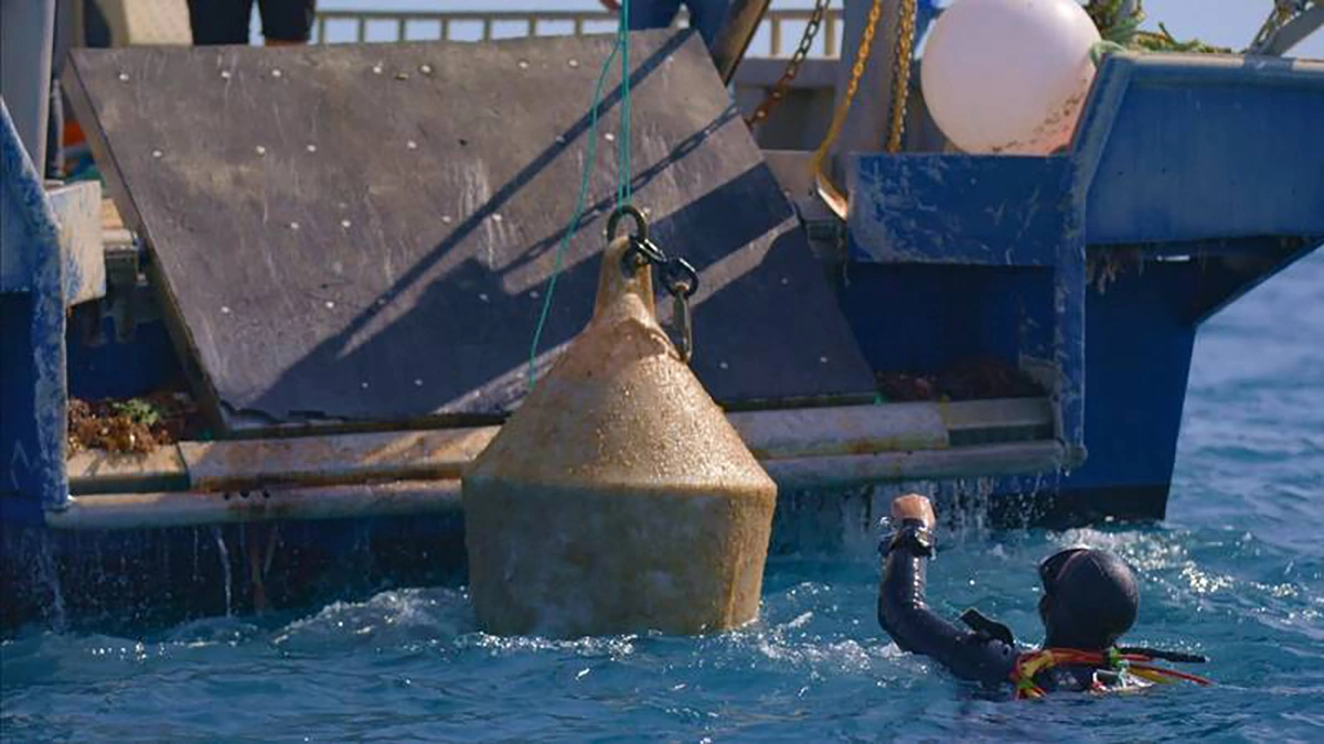 Винодельня выпускает семильон и шираз по такой технологии