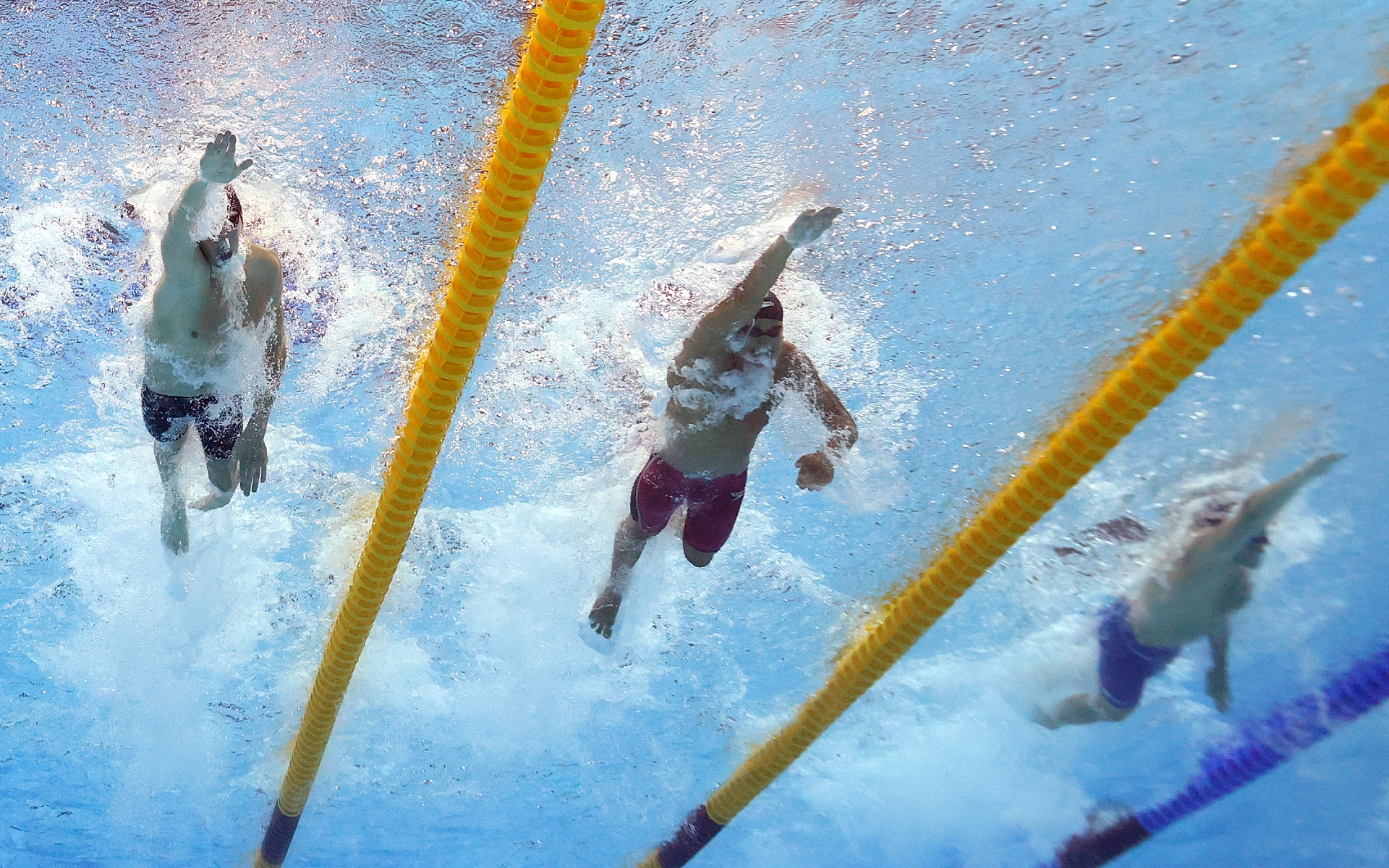 Австралийские пловцы установили новый мировой рекорд в эстафете на ЧМ