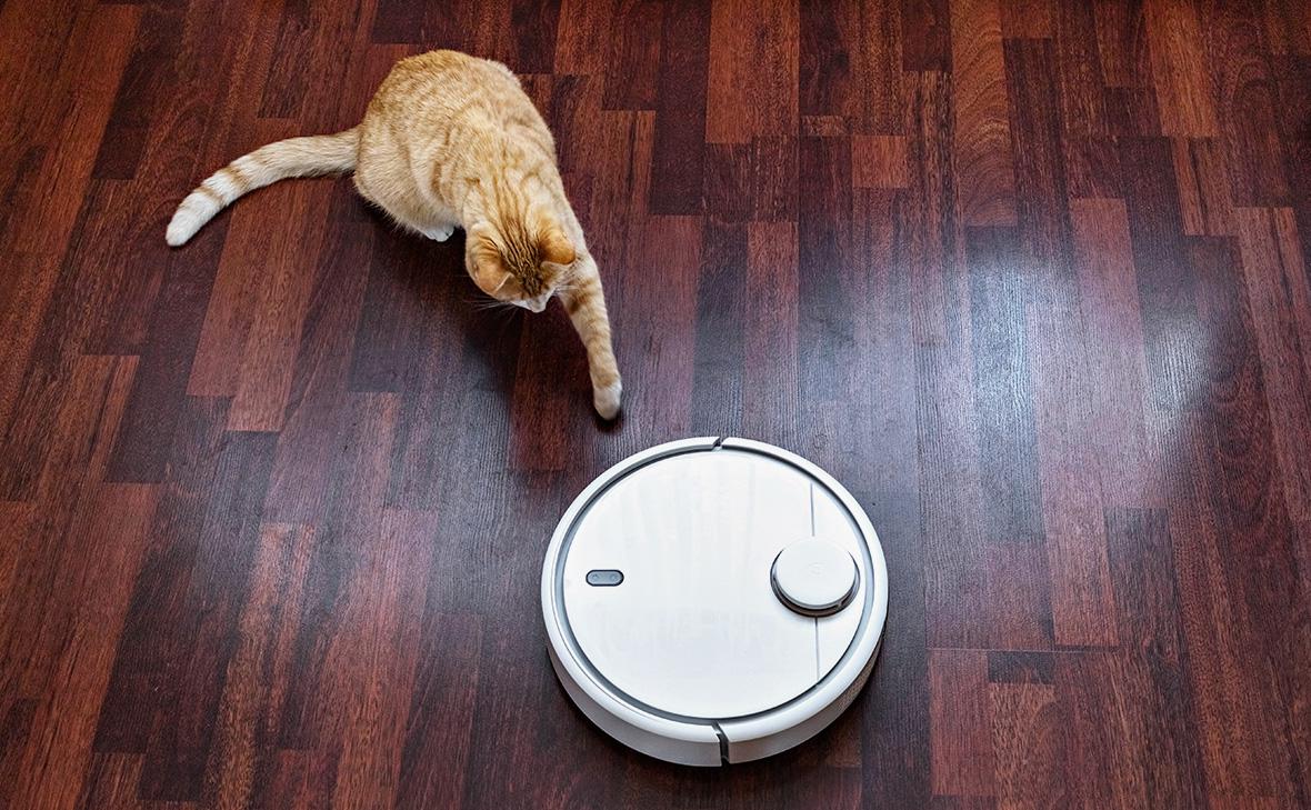 Фото: Светлана Густова / Shutterstock