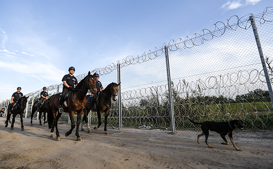 Венгерская конная полиция патрулирует границу с&nbsp;Сербией в&nbsp;поисках мигрантов