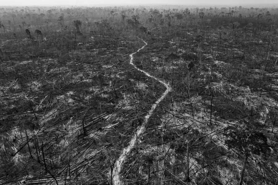 На фото: результат вырубки лесов в Апуи, муниципалитете рядом с Трансамазонским шоссе, 24 августа 2020 года