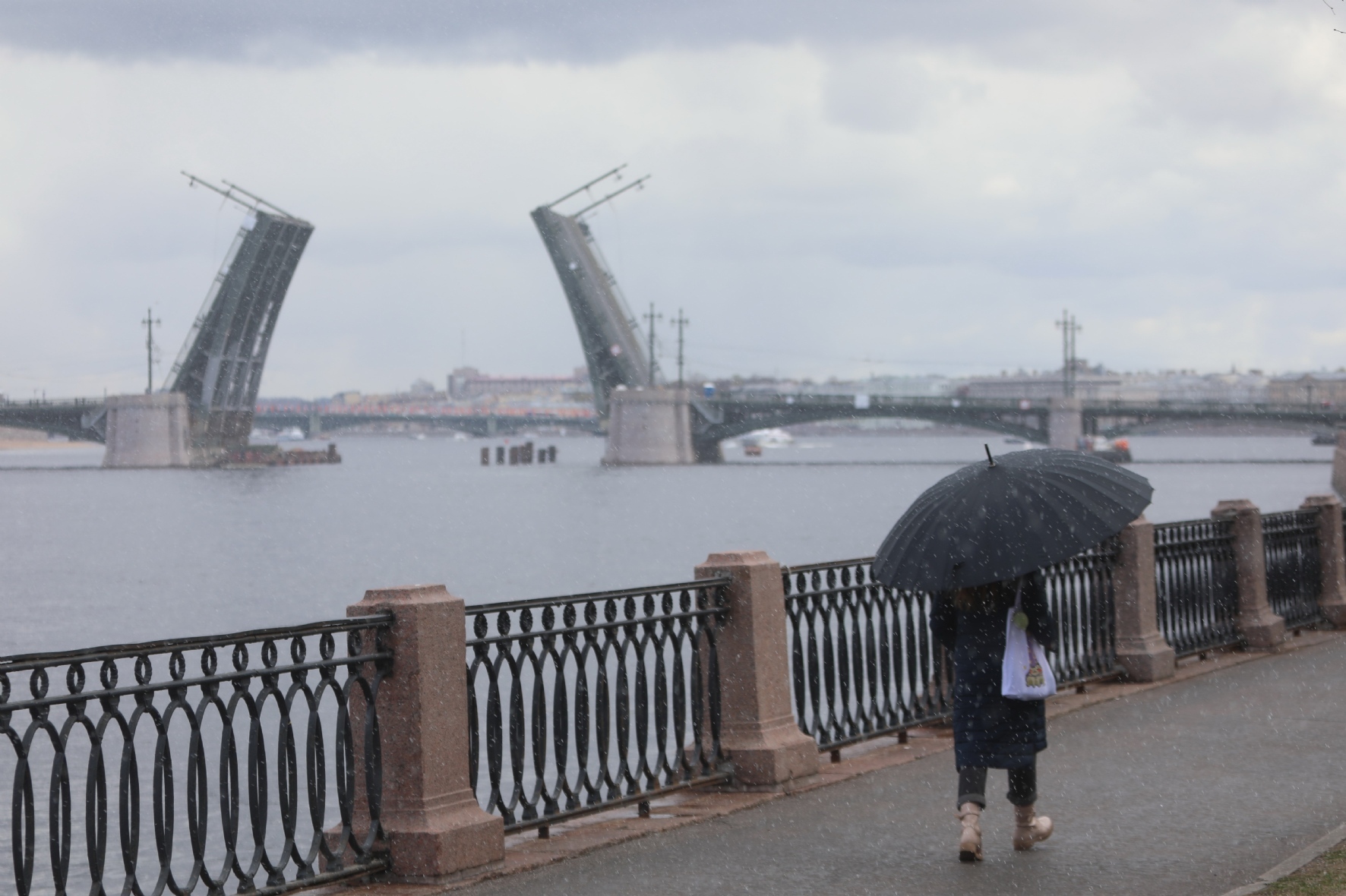 Фото: Пименов Роман / PhotoXPress.ru