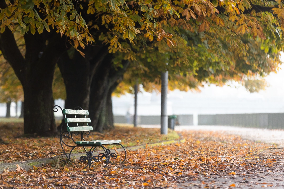 Александр Подгорчук