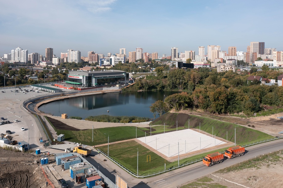 Фото: Брусника