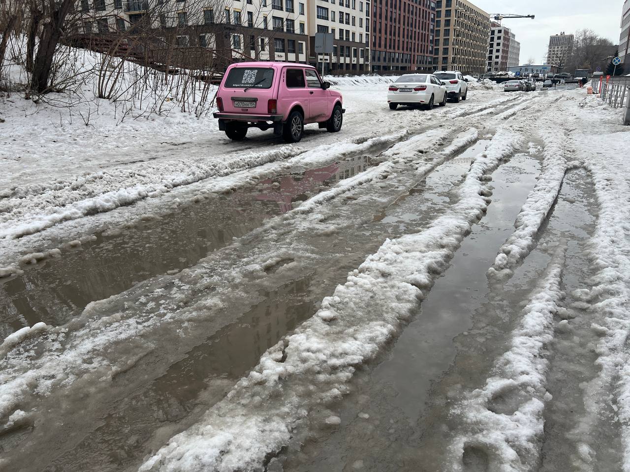 Фото: РБК Новосибирск