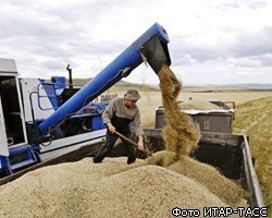 Минсельхоз РФ прогнозирует урожай зерна 85-87 млн т  в 2011г.
