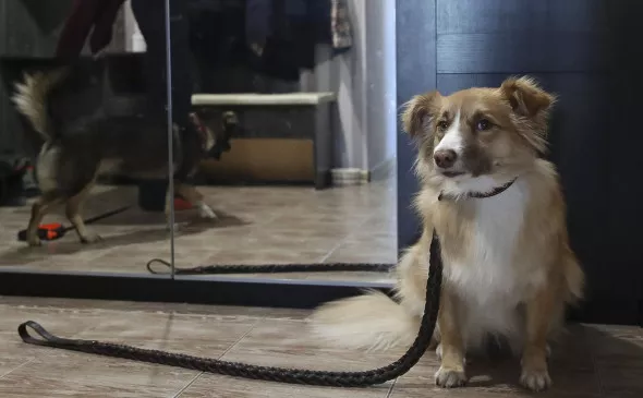 Кирилл Кухмарь / ТАСС  