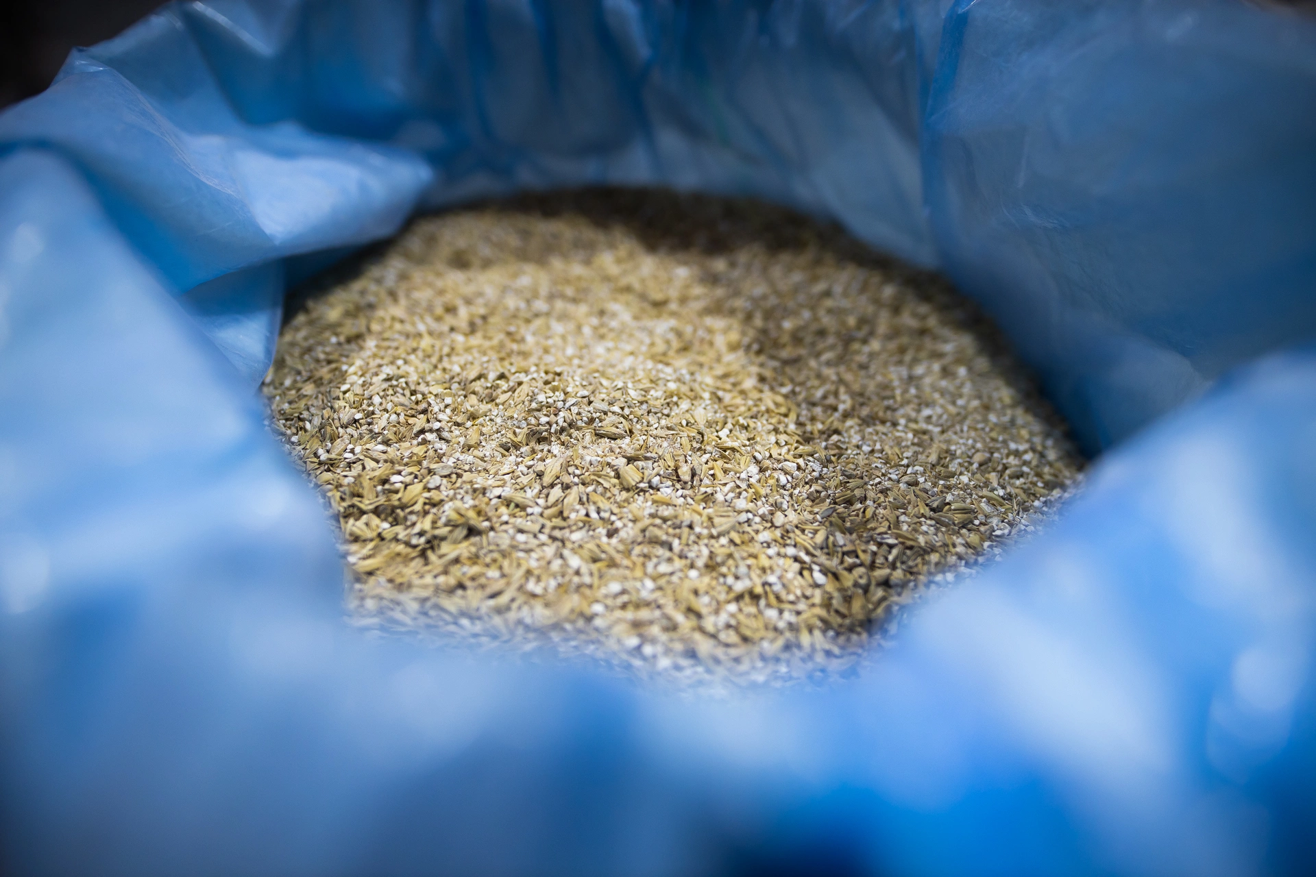 Александр Подгорчук