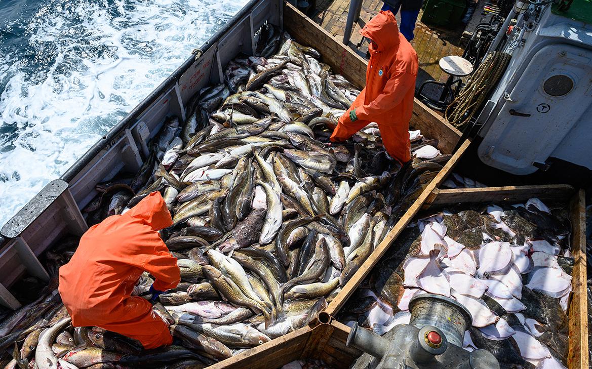 Росрыболовство заявило о желании США вернуть монополию на рыбных рынках