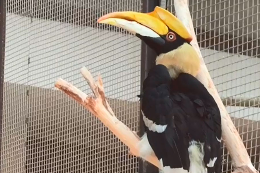 Фото: Ленинградский зоопарк / Telegram