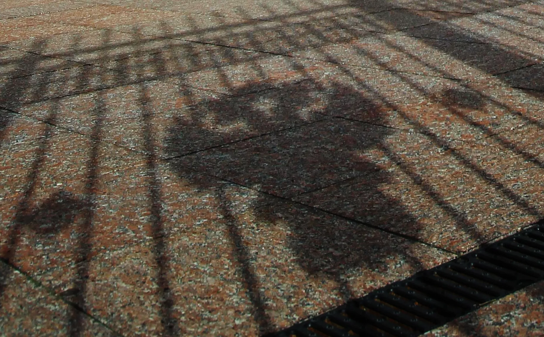 Мария Девахина / РИА Новости