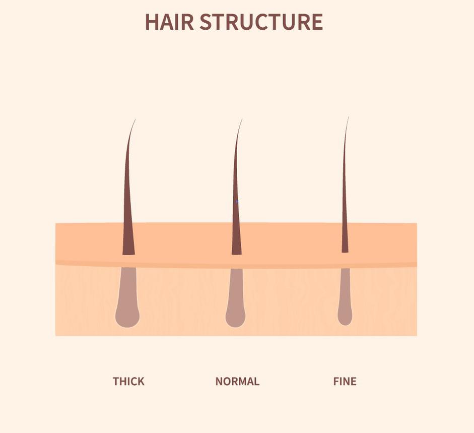 С возрастом структура волос меняется. Они становятся тоньше и короче