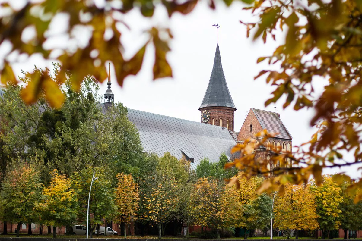 Александр Подгорчук