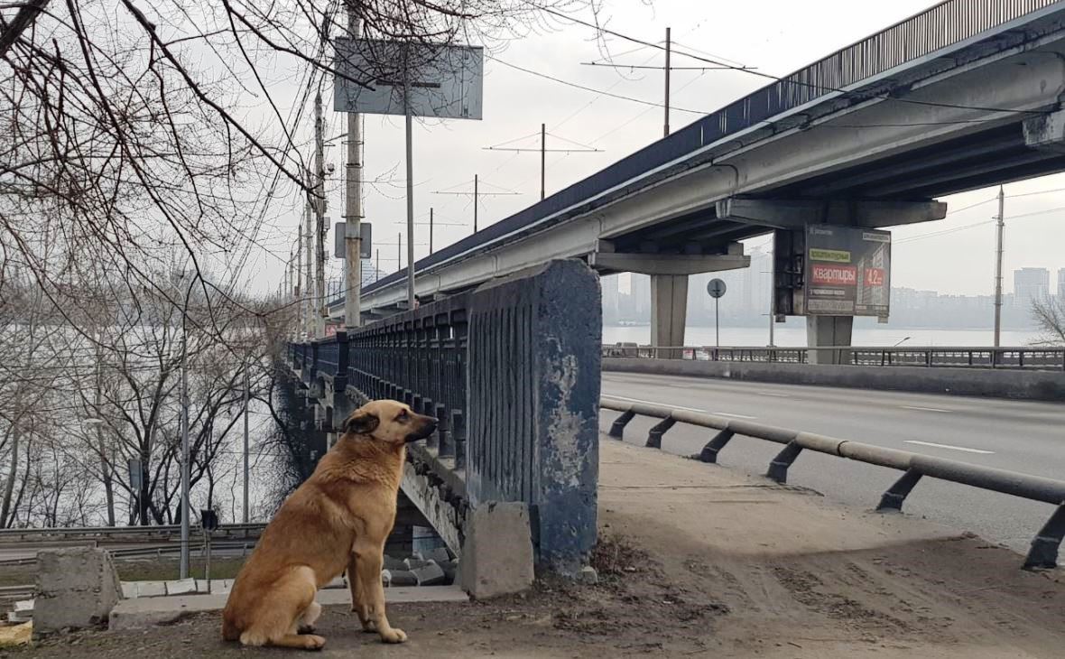 Фото: РБК Черноземье