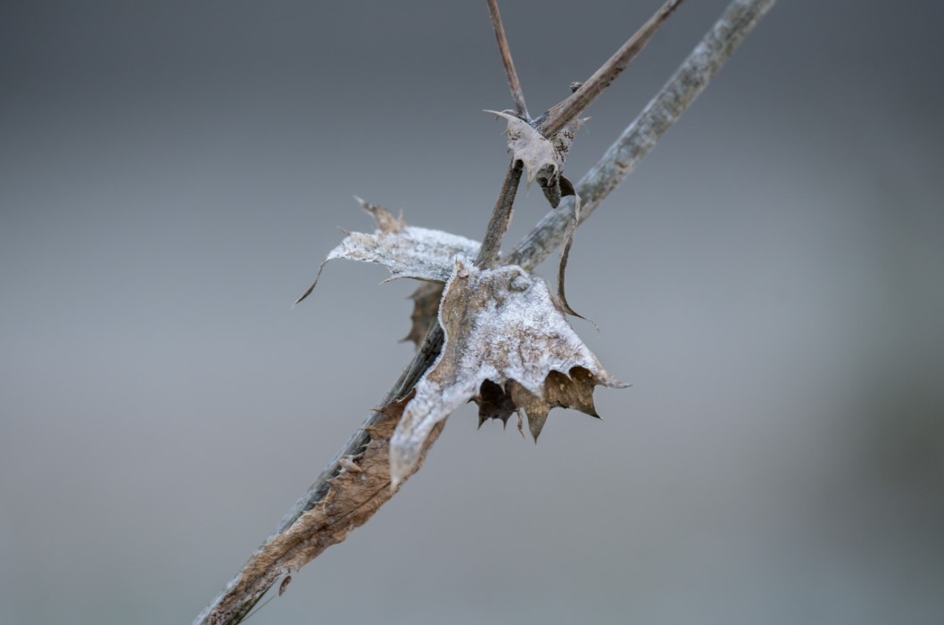 Фото: Руслан Яроцкий / URA.RU