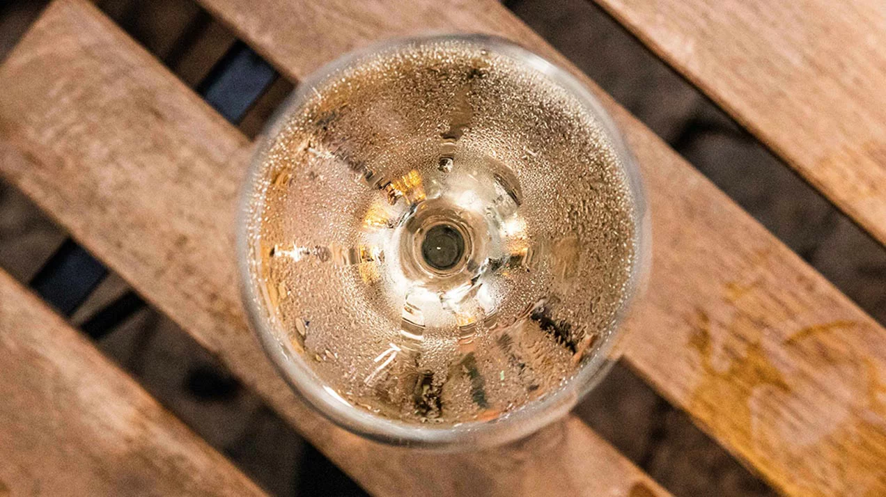 Как ароматы манипулируют вкусом: пьем вино правильно