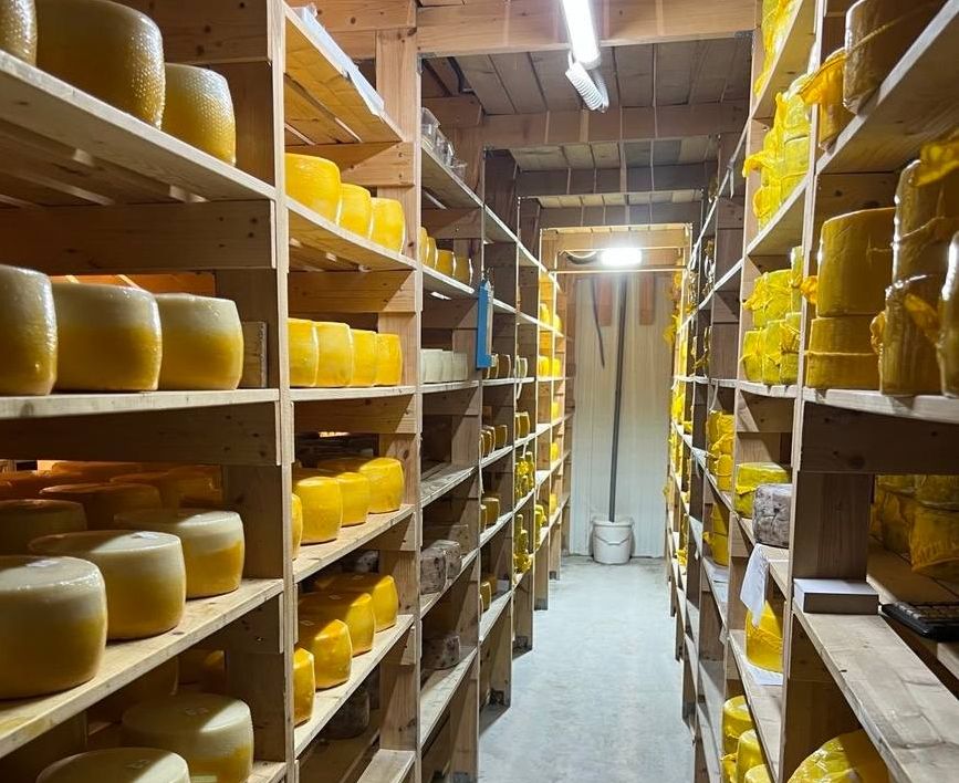 Фото: Прокуратура Санкт-Петербурга