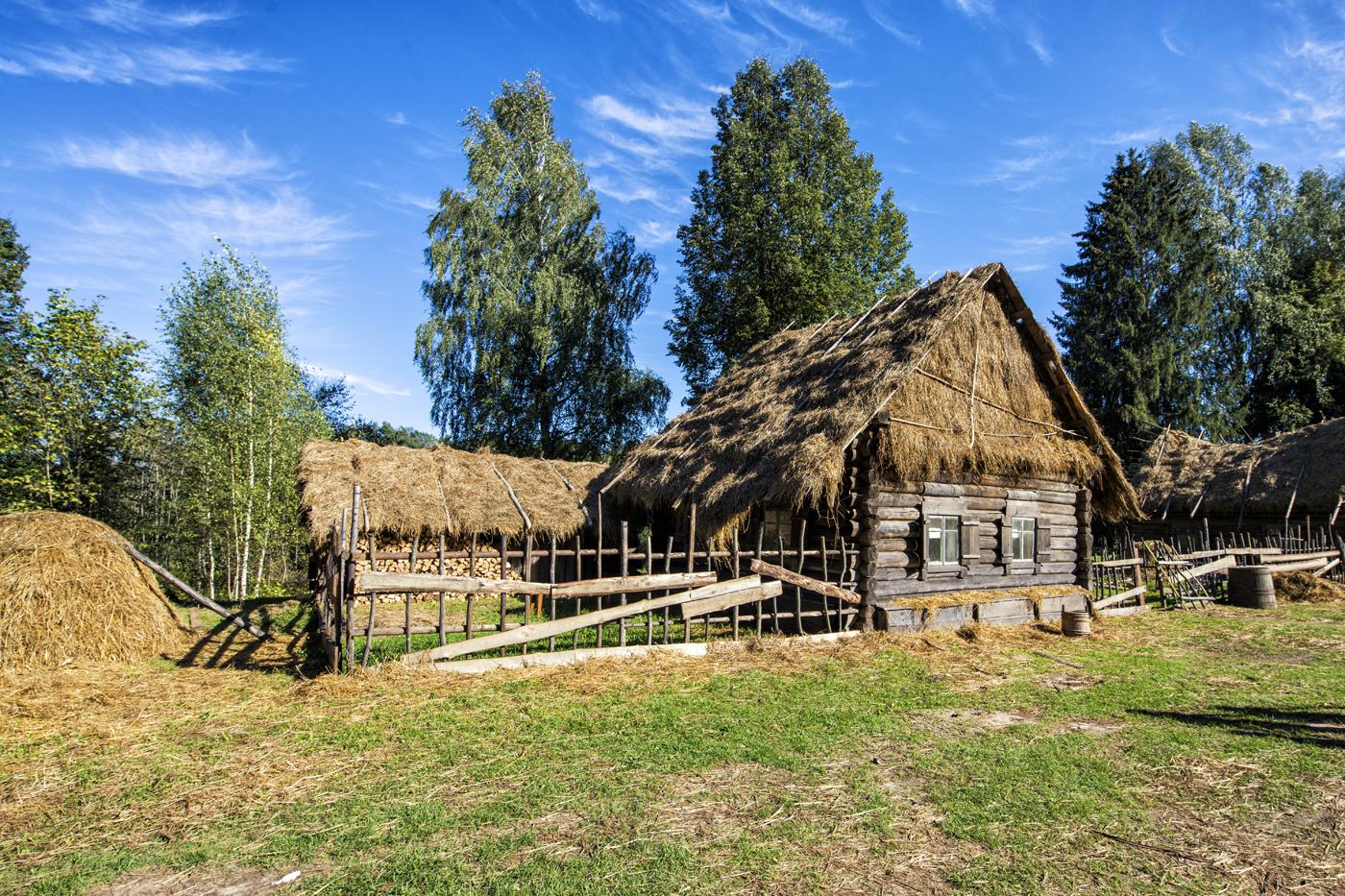 Сельский дом в Василево