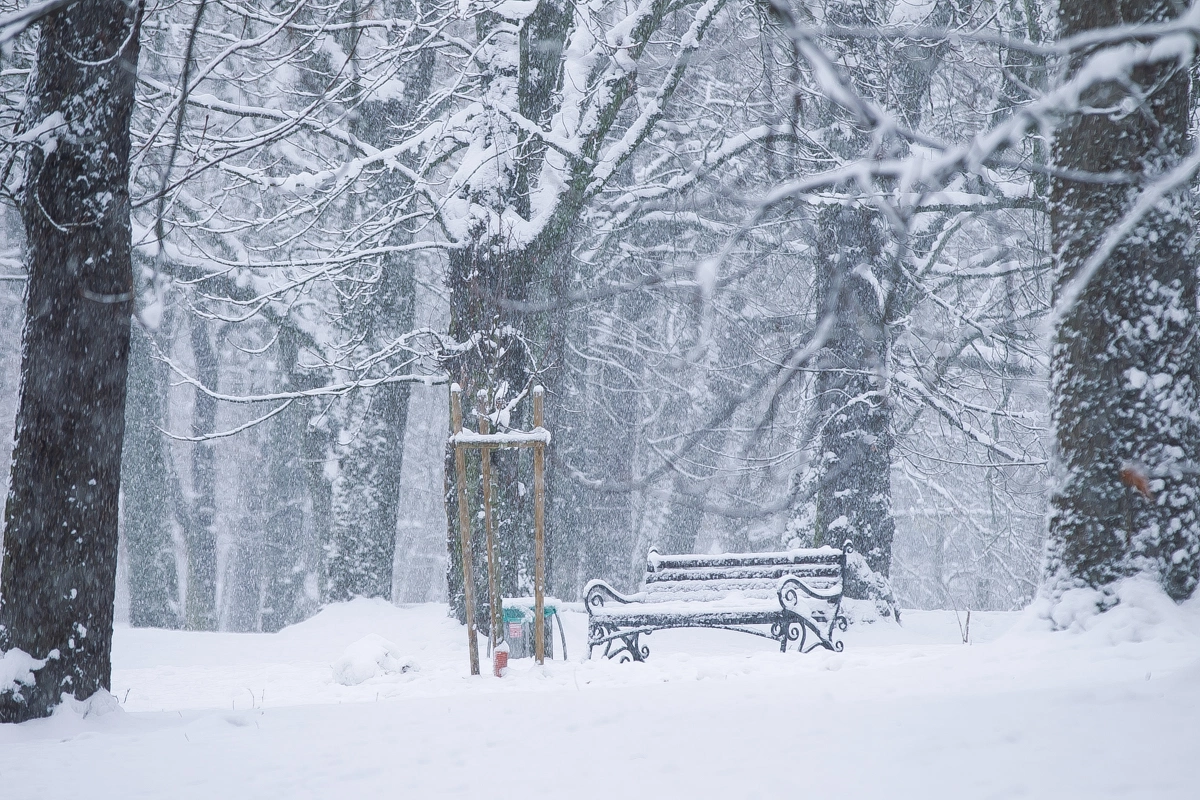 Александр Подгорчук