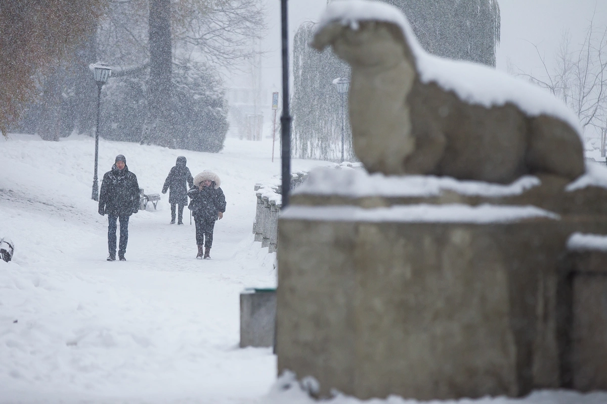 Александр Подгорчук
