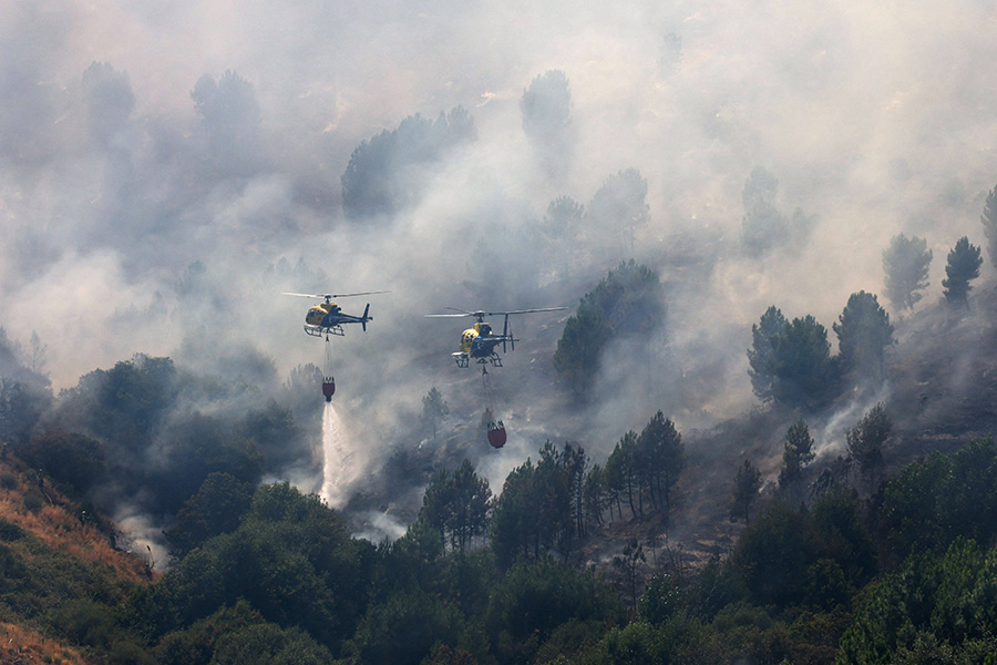 Фото: Juan Medina / Reuters