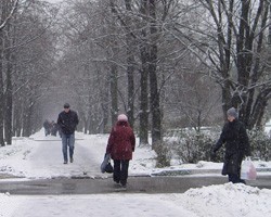 Мокрый снег в Петербурге прогнозируется на ближайшие два дня