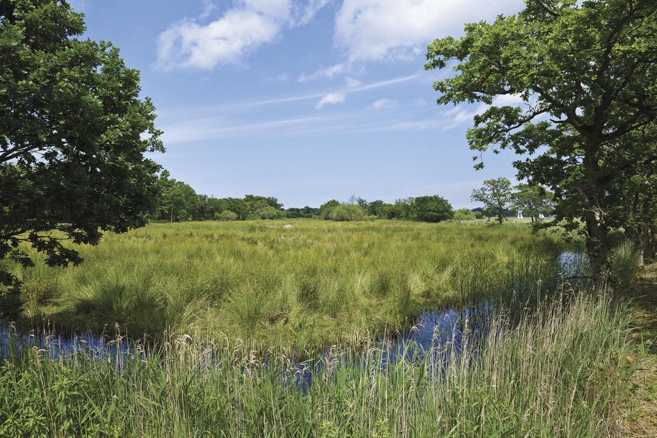 Пасторальный облик Hickling Broad Estate напоминает место действия классического английского романа воспитания
