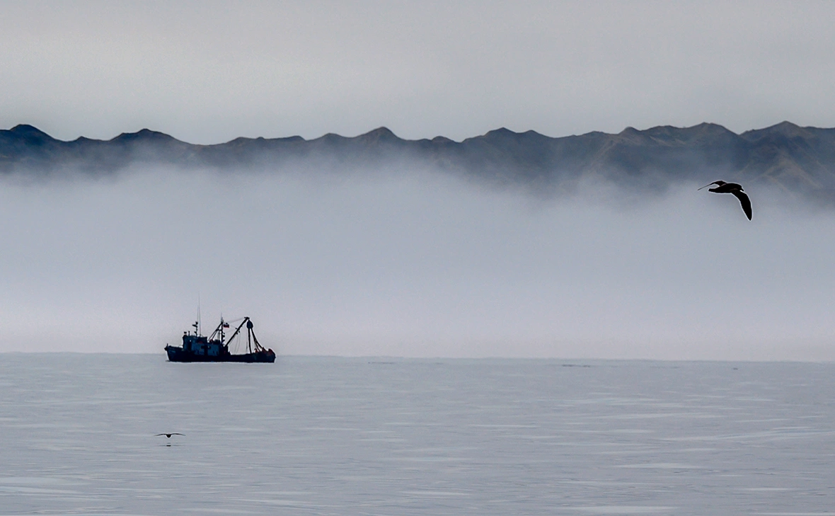 Сергей Красноухов / РИА Новости