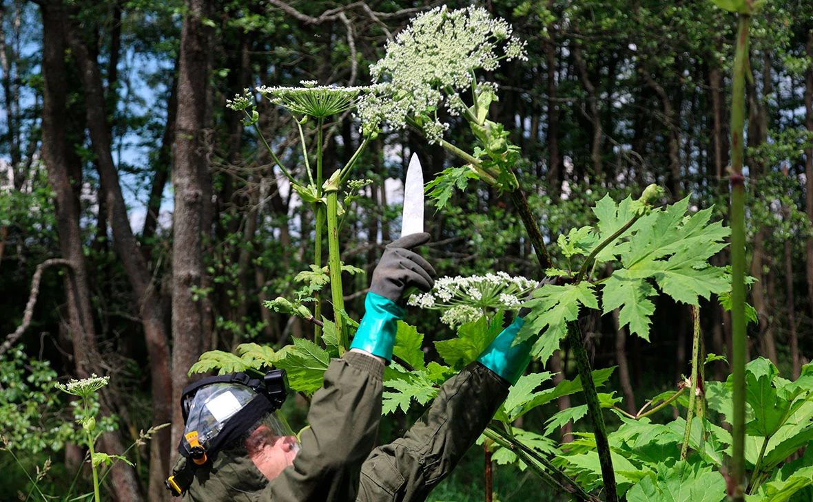 Павел Львов / РИА Новости