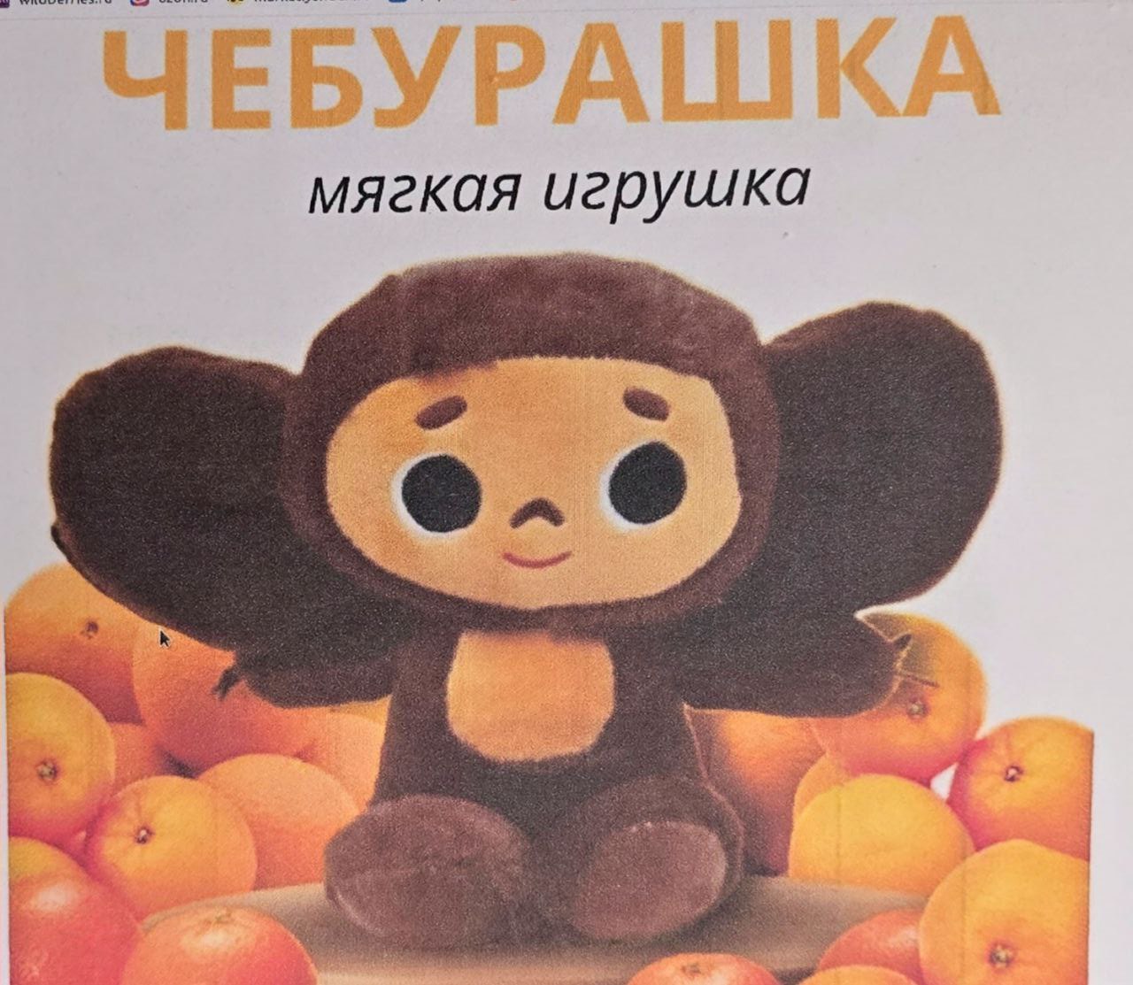 Фото из материалов дела