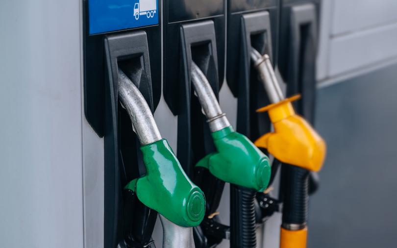 Фото: Shutterstock