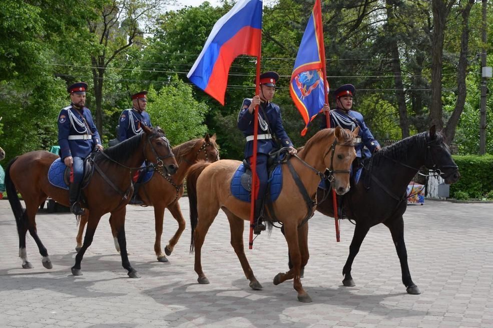 Фото: пресс-служба правительства Ростовской области