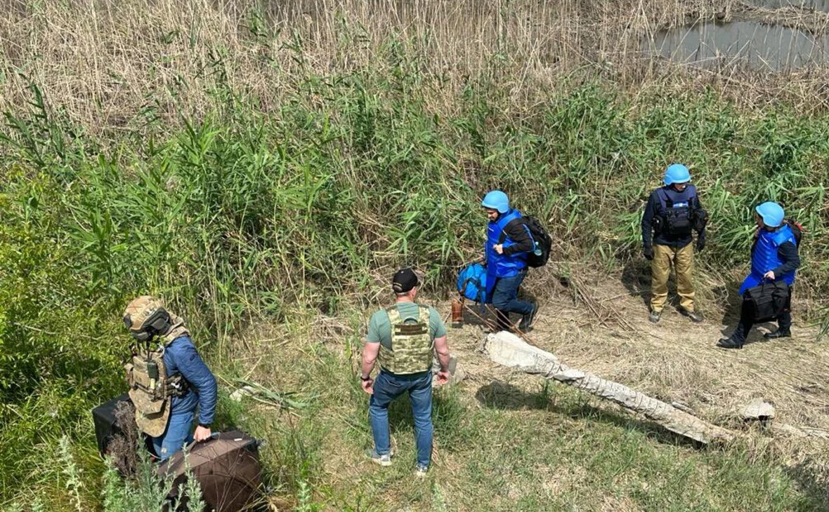 rafaelmgrossi / Twitter