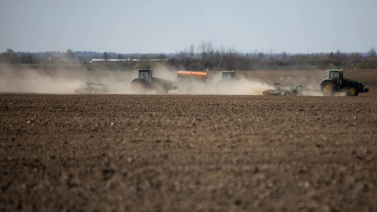 Александр Подгорчук