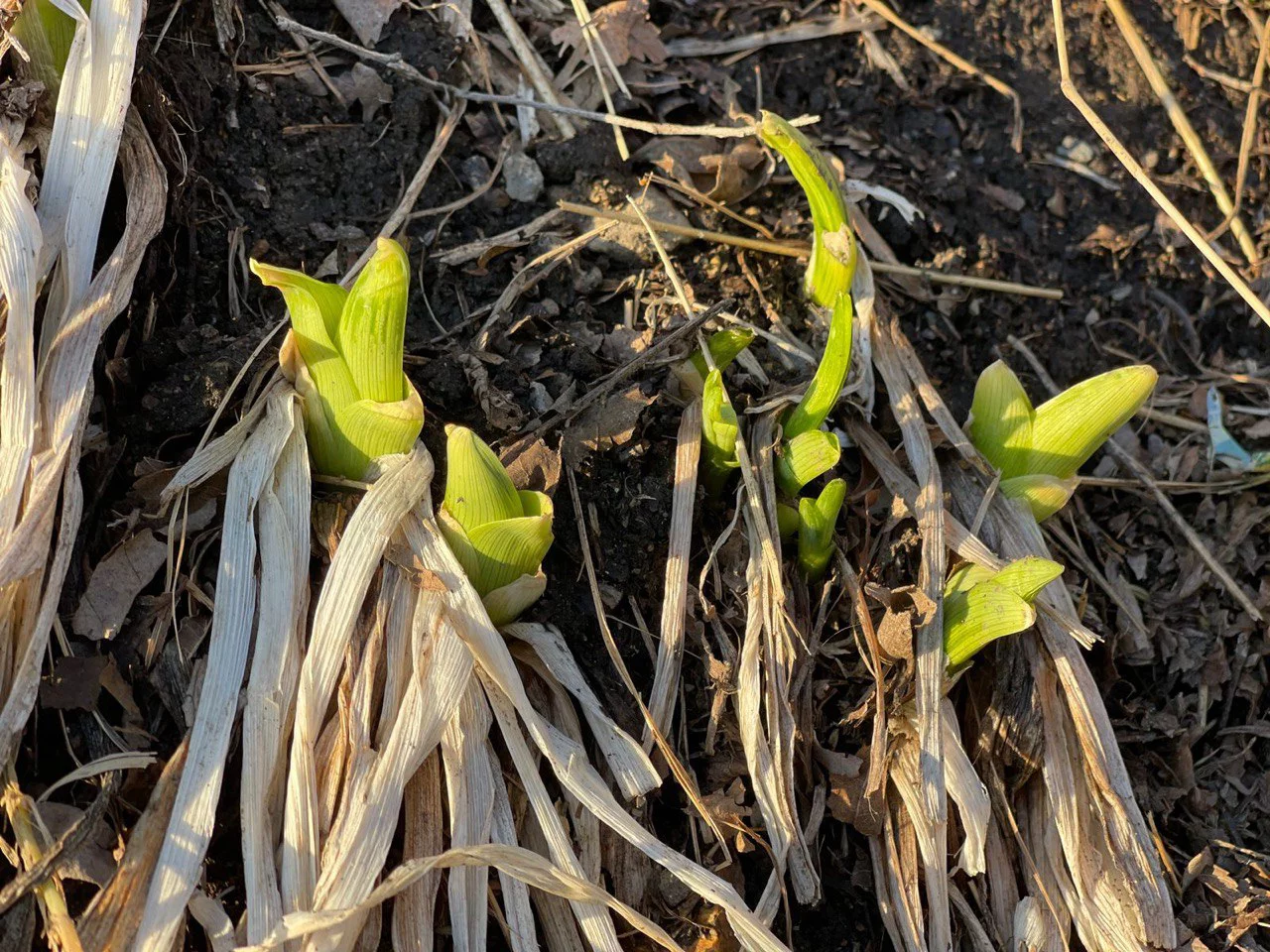 РБК Приморье