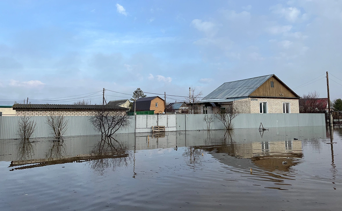 Мария Лисицына / РБК