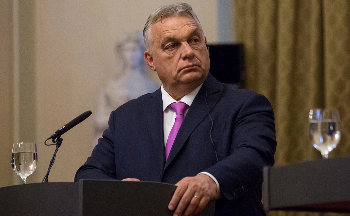 Zuzana Gogova / Getty Images