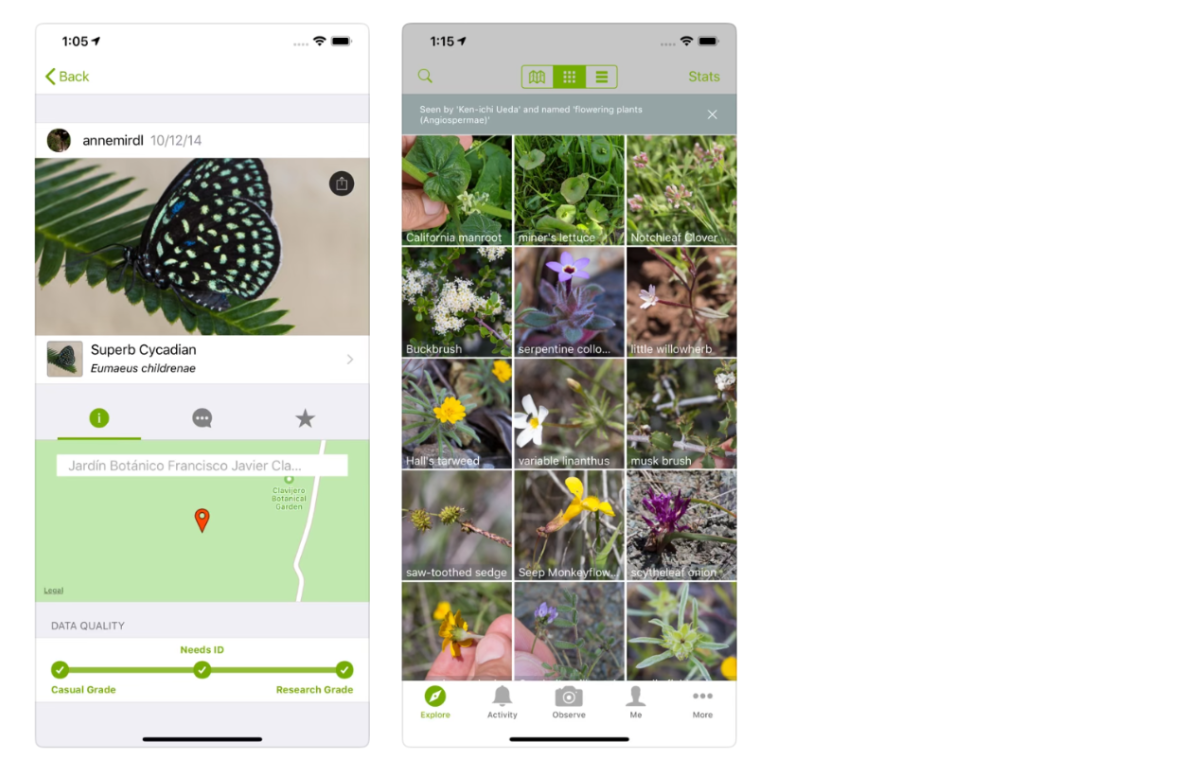 iNaturalist
