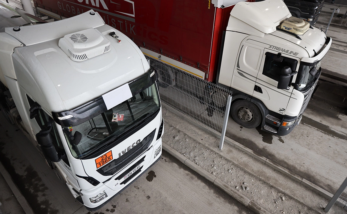 Елена Афонина / ТАСС