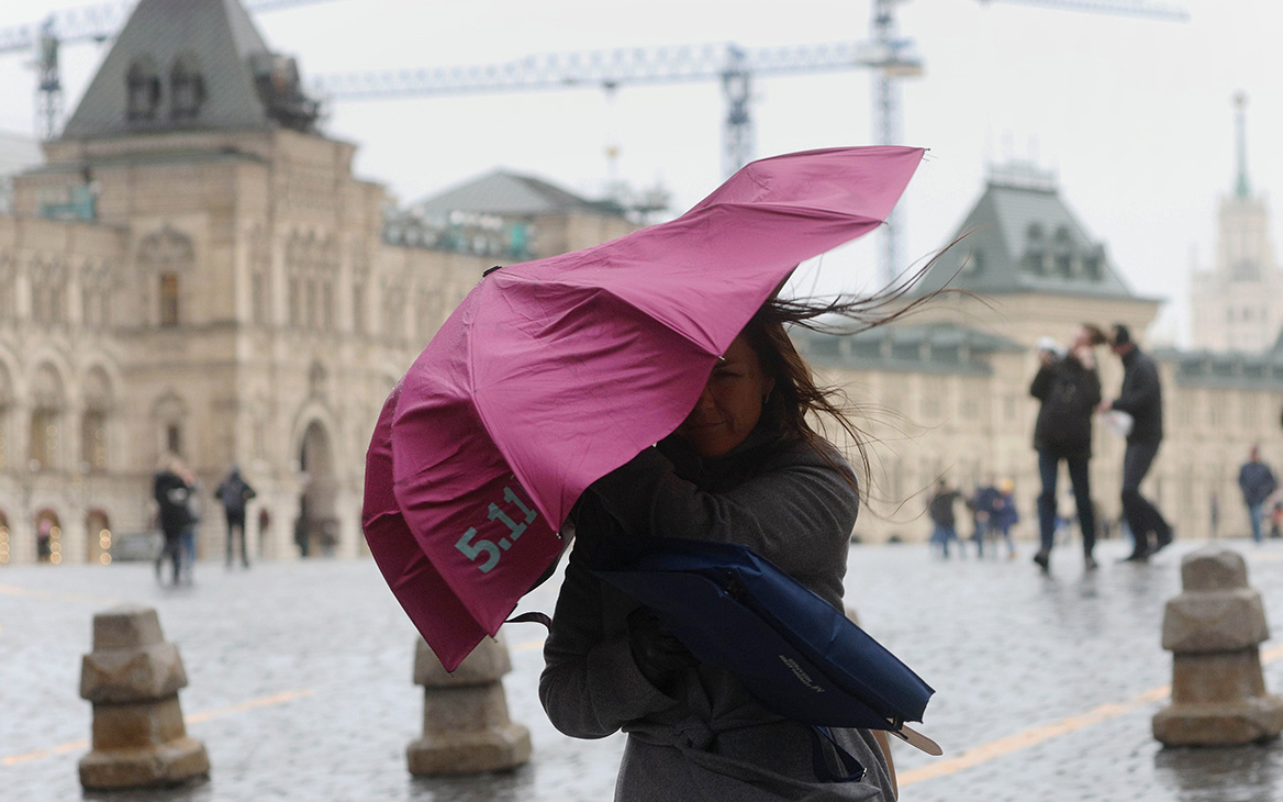 В Москве объявили желтый уровень опасности из-за ветра и метели