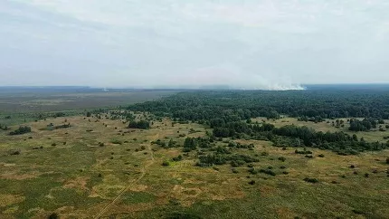 Александр Подгорчук