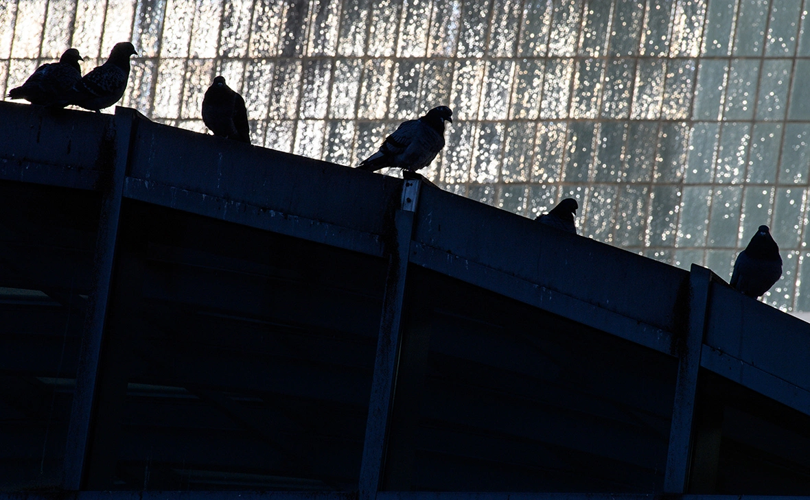 Klaus-Dietmar Gabbert / Global Look Press